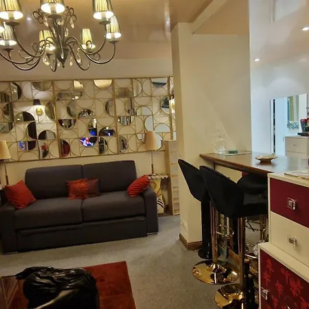 Apartament Avenue Champs Elysees - Magnifique F1/f2 *