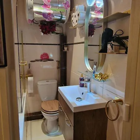 Avenue Champs Elysees - Magnifique F1/f2 Apartament *