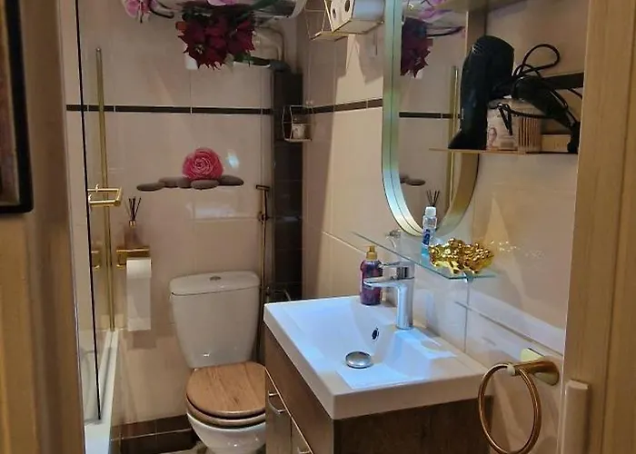 Avenue Champs Elysees - Magnifique F1/f2 Apartman *