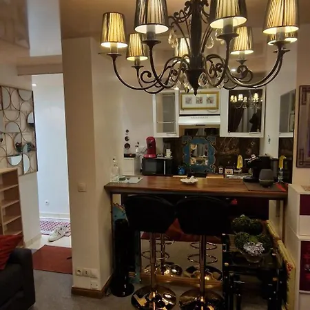 Avenue Champs Elysées - Magnifique F1/f2 Appartement Paris