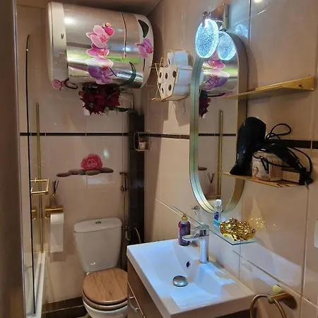 Appartement Avenue Champs Elysées - Magnifique F1/f2 *